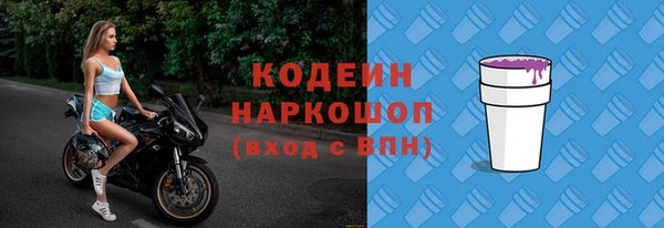 индика Балахна