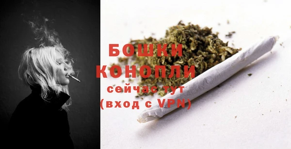 мдпв Гусев