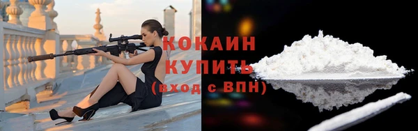 индика Балахна