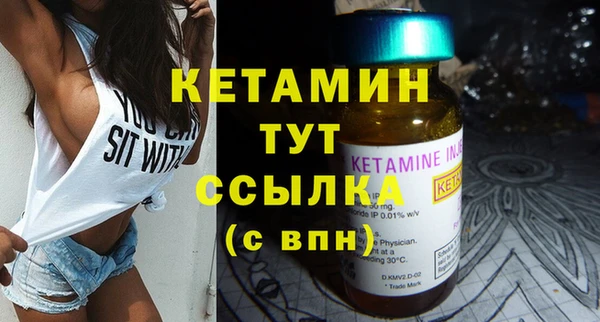 индика Инта