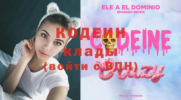 индика Балахна