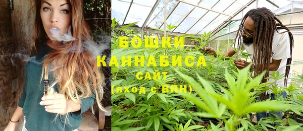 индика Балахна